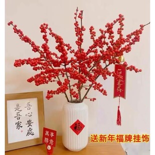 北美冬青红果鲜花切枝鲜切花水培水养绿植室内年宵花卉真花好养活