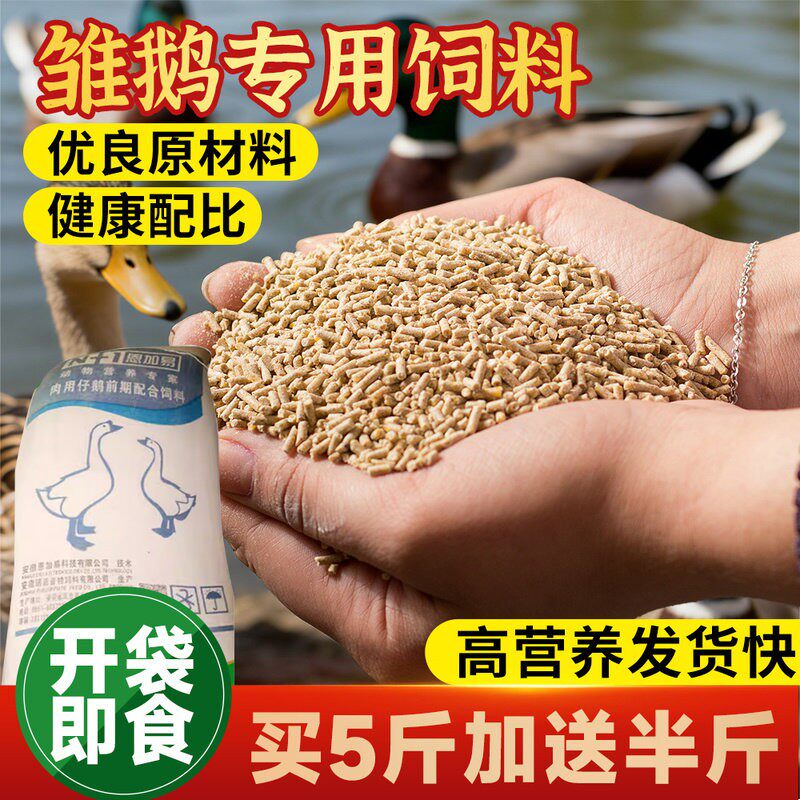 雏鹅小鹅饲料鹅全价颗粒饲料青年鹅大鹅饲料蛋白高鸟粮孔雀粮包邮