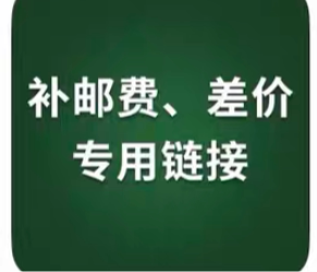 定制改装/定金商品/补差价/补运费专用链接，非无法使用不支持退