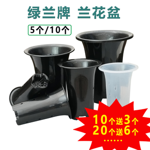 包邮 10个绿兰加厚兰花盆有侧孔透气塑料专用盆种植盆花卉育苗盆
