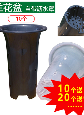 10个绿兰牌加厚兰花专用盆塑料花盆带侧孔兰盆君子兰种植盆控根盆