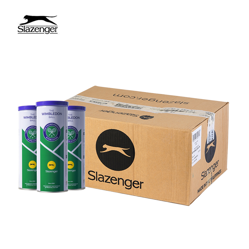 Slazenger史莱辛格网球温网比赛用球铁罐装豹子球高弹耐打训练球