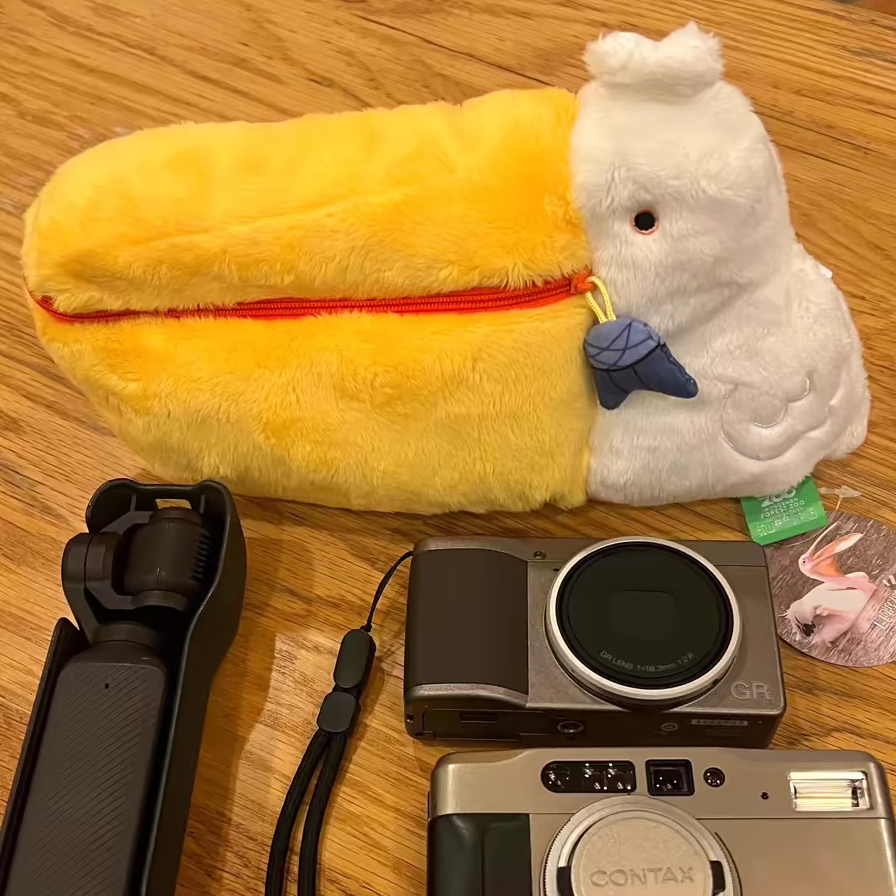 鹈鹕包相机包拉链手提包可爱