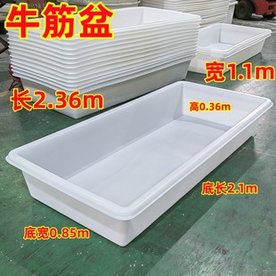 塑料浅水方盆加厚大号平底盆牛筋鱼虾养龟盆洗菜盆洗澡盆养殖水槽