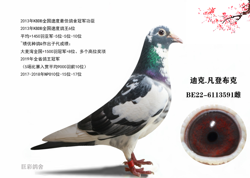 子代预定1000米一对