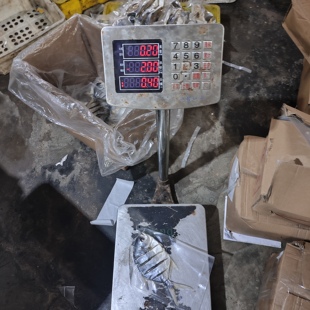 金昌鱼干北海特产海鱼干2-4条一斤金昌鱼500g