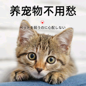 宠物吸毛器猫咪毛发清理器强力掉毛专用地板拖把扫把去毛除毛神器