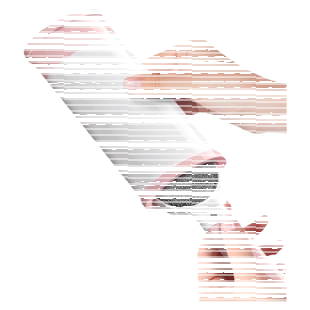 毛衣刷毛神器去毛器双面羊绒毛呢大衣打理护理刷粘毛器静电除毛刷