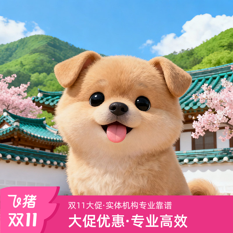 韩国北京送签