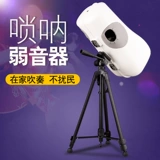 Слабая звуковая школа Suona Shood Sound School Cremanceed, плюс продувка, а не нарушая аксессуары Suona, применимые к корректировке C/D