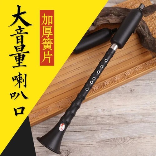 巴乌乐器竖吹成人专业演奏小学生