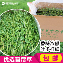 包邮20绿色紫花烘烤苜蓿草龙猫牧草幼兔粮饲料干草豚鼠毛重2斤