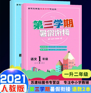 第三学期暑假衔接一升二语文数学2本 套装 2021新版 一年级暑假作业一年级下升二年级上复习预习暑假衔接教材专项同步训练 2本 人教版