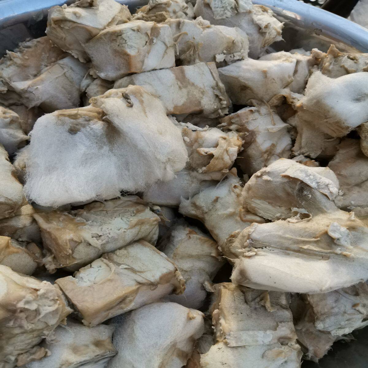 下饭菜霉豆腐贵州特产毕节黔西霉豆腐豆腐乳豆腐乳麻辣豆腐臭豆腐