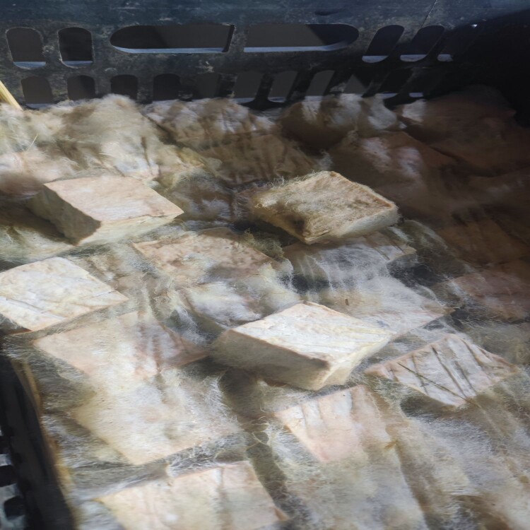 下饭菜霉豆腐贵州特产毕节黔西霉豆腐豆腐乳豆腐乳麻辣豆腐臭豆腐