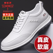 蜻蜓牌男鞋 新款 透气秋季 子 休闲减震百搭鞋 真皮牛皮运动鞋 男士 男款