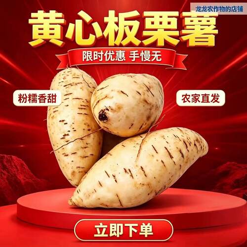正宗潮汕现挖黄心板栗薯香甜软糯粉无丝产地直发鸡蛋黄番薯白地瓜