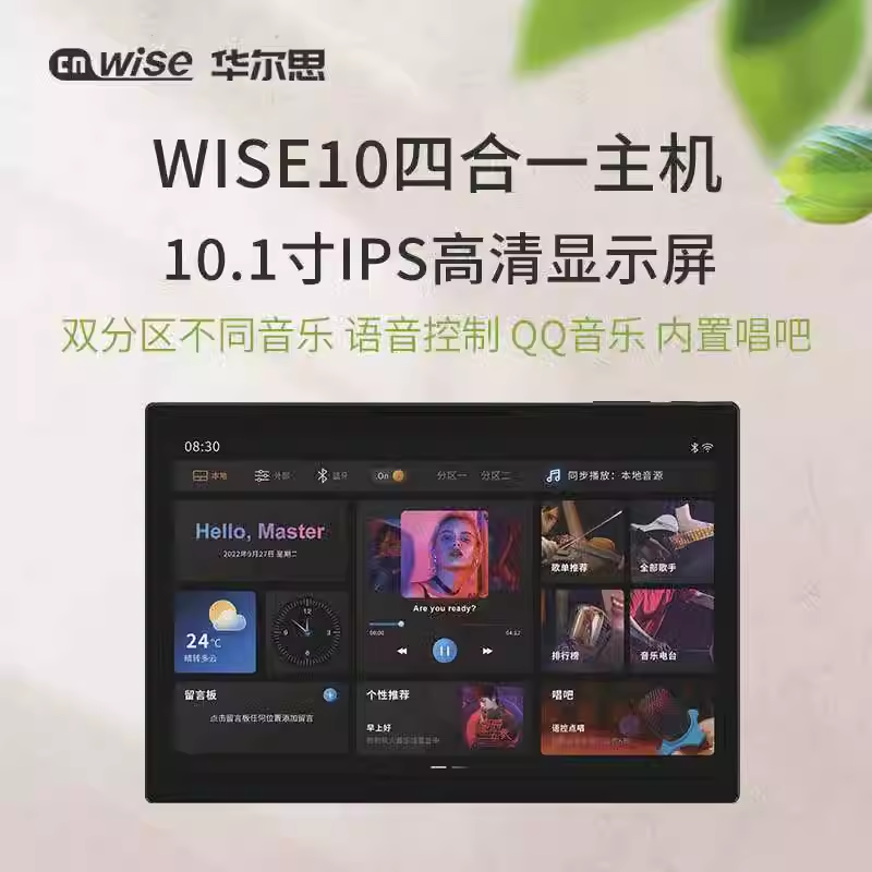华尔思十寸智能背景音乐主机10.1寸双分区中控屏家居适用米家涂鸦