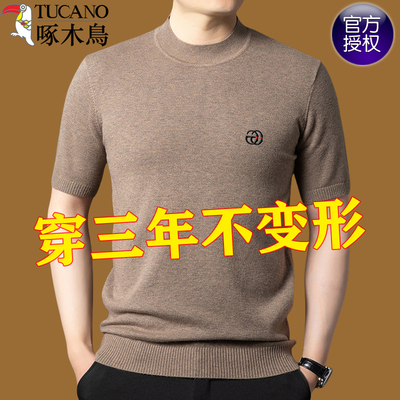 啄木鸟半高领短袖毛衣男打底内搭