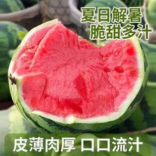 正宗东台甘美4K西瓜皮薄脆甜满口爆汁无籽战神水果现摘现发