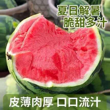 正宗东台甘美4K西瓜皮薄脆甜满口爆汁无籽战神水果现摘现发