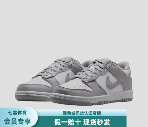 Nike Dunk 板鞋 经典复古百搭 大童/白色/浅烟灰色  FB9109-123
