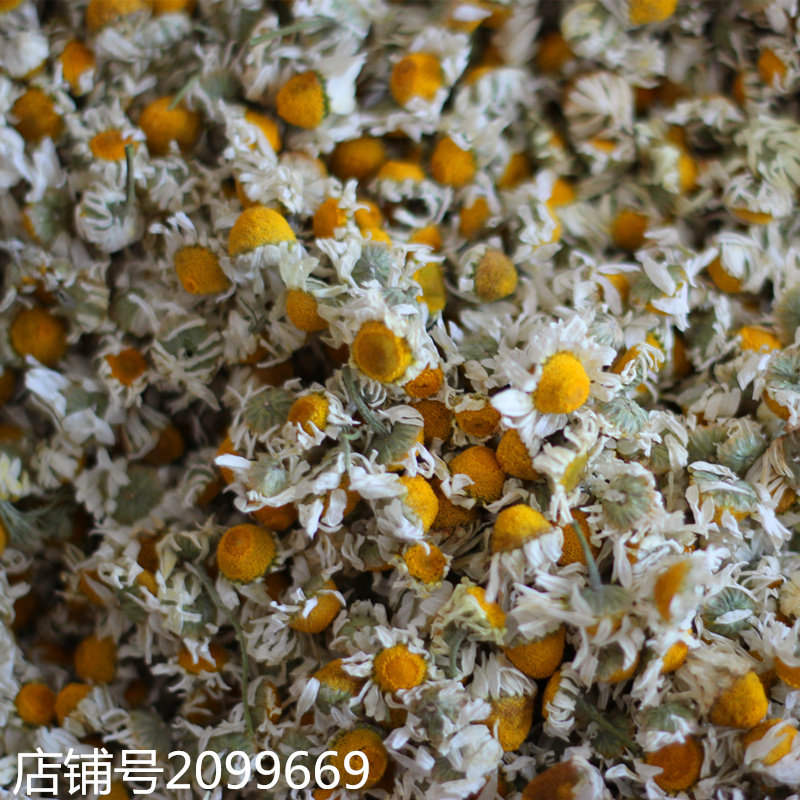 罗马洋甘菊干花 罗马洋甘菊花茶养生花草茶兵团农户直供一斤新花