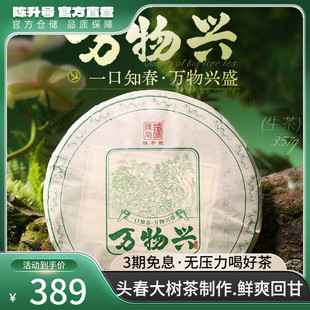 2025年陈升号普洱茶万物兴大树茶春茶357g勐海普洱生茶饼茶叶357g