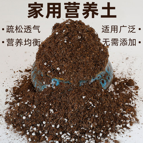 轻质营养土种不好仅退款