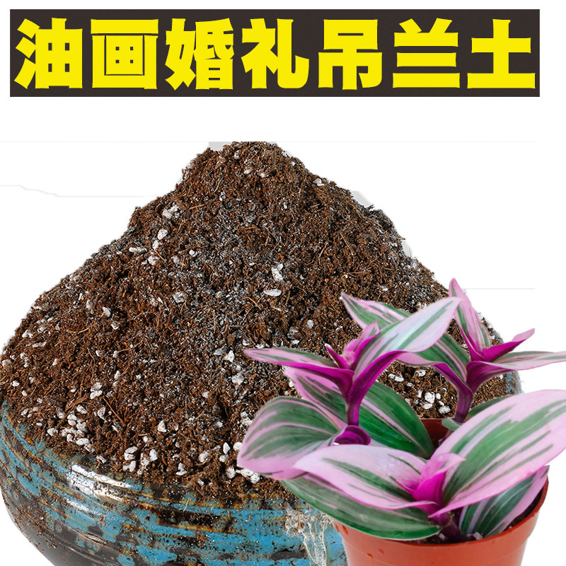 油画婚礼吊兰专用土弱酸性土种花绿植培养土通用型盆栽土泥炭椰康