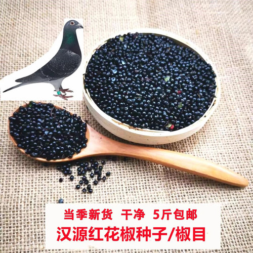 四川汉源花椒籽椒目娃娃椒种子泡脚育苗栽培喂鸡鸽粮500g新货
