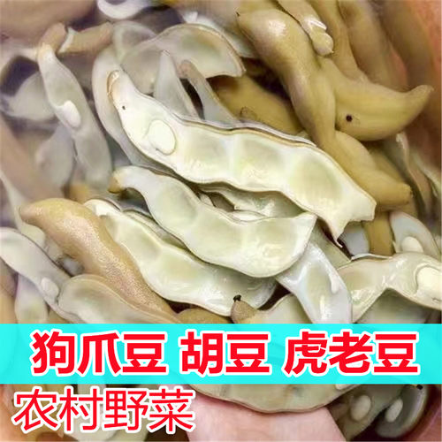 狗爪豆老虎豆梅州客家菜野菜