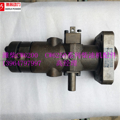 重庆CW6200 CW8200柴油机 喷油泵 单体泵 XC62.08.09.1000 燃油泵