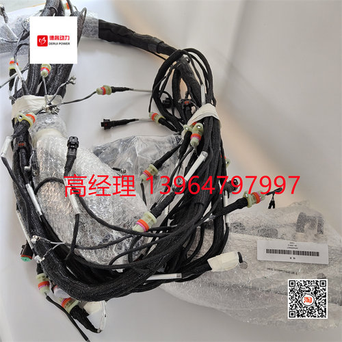 发动机线束1004409457潍柴博杜安16M33柴油发动机Baudouin