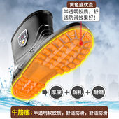 军登牛筋底防水雨鞋 男防滑 雨靴短水靴厨房鞋 男高筒水鞋 男工地胶鞋