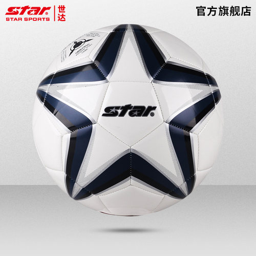 star世达足球4号儿童小学生训练