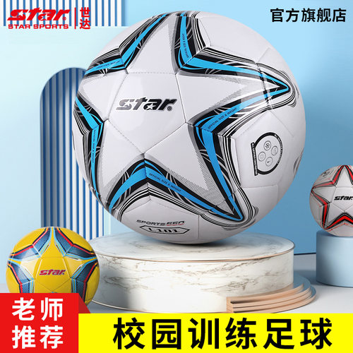 star世达足球4号儿童小学生训练