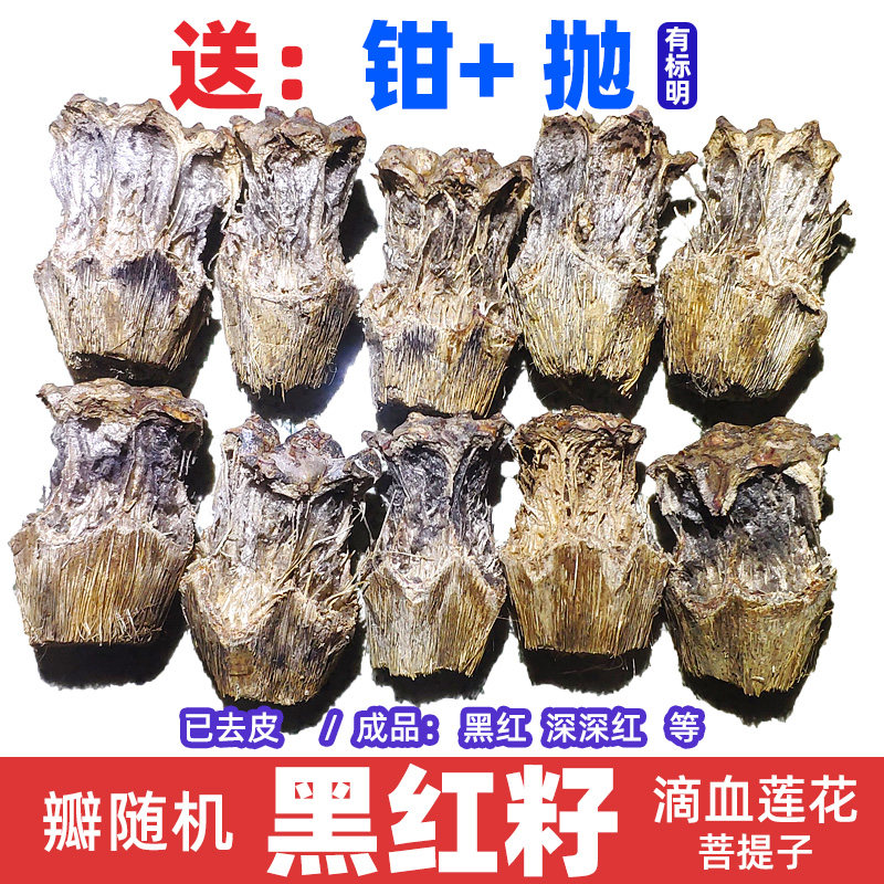 禅悦缘 黑红籽去皮 滴血莲花原籽 手串毛料菩提子 包邮