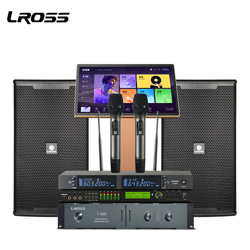 美国LROSS EN12新品家庭KTV音响套装12寸前导向大功率音箱户外K歌