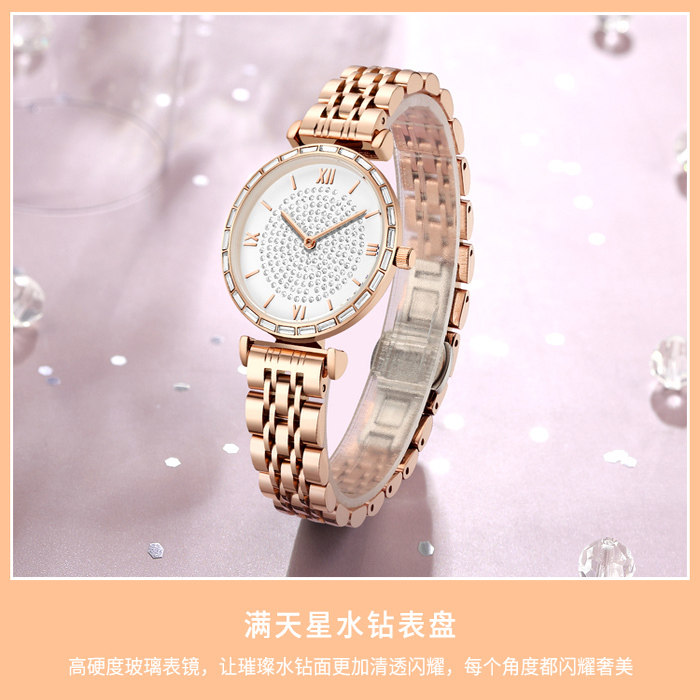锐德手表女款2025新款名牌正品轻奢小众女式满天星高颜值女款手表