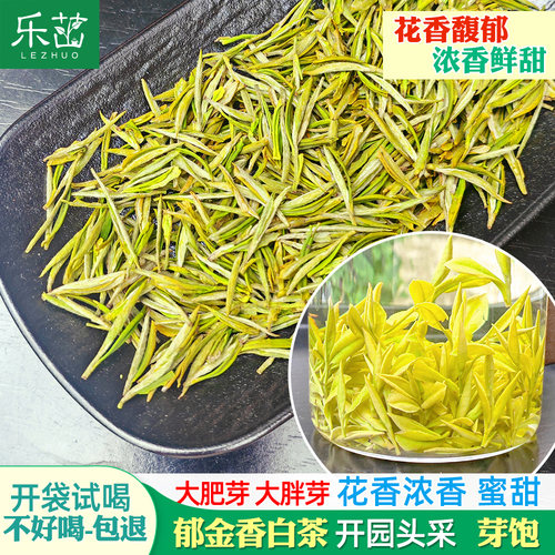 乐茁 花香浓香【郁金香白茶-开园头采】2026年新茶高山明前绿茶
