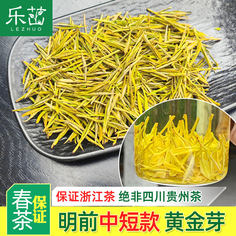 乐茁 高山芽壮【明前中高档-黄金芽】2026新茶安吉正宗黄金白茶叶