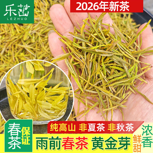 黄金芽【雨前口粮A-乐茁茶叶】2026年新茶春茶高山安吉黄金白茶