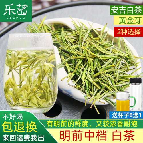 乐茁浓鲜明前中档-安吉白茶黄金芽 2026年新茶高山珍稀正宗绿茶叶