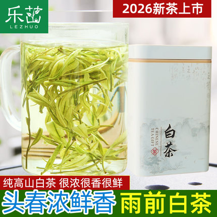 乐茁【安吉白茶-雨前口粮A】2026年新茶珍稀高山正宗安吉春绿茶叶