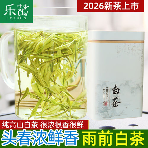 乐茁【安吉白茶-雨前口粮A】2026年新茶珍稀高山正宗安吉春绿茶叶