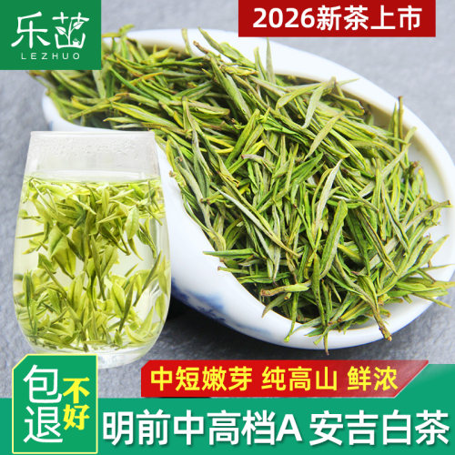 乐茁 安吉白茶【明前中档A好】2026年新茶珍稀白茶正宗高山绿茶