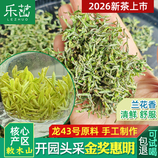 龙43号 鲜兰花香【开园头采-金奖惠明茶】2026年新茶景宁手工绿茶