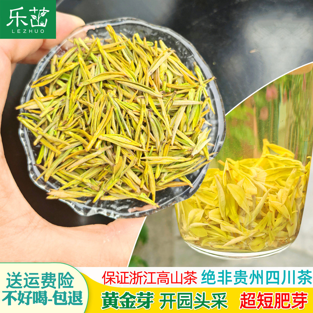 乐茁 鲜嫩豆香【开园头采-黄金芽】2026年新茶明前安吉黄金叶白茶