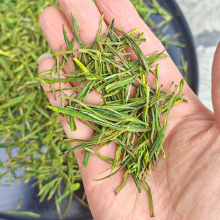 68半斤,特价!雨前白茶,浓香耐泡,白化度非常好